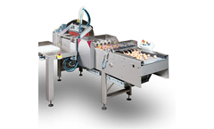 Vencomatic - Model Ovoset - Operate and Robust Egg Packing Machine