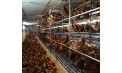 Vencomatic - Model Bolegg Gallery - Aviary System