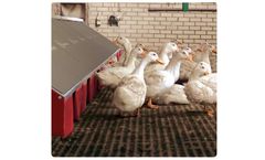 Vencomatic - Model Duck Nest - Automatic Hatching Egg Collection Packers