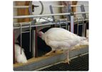 Vencomatic - Model Turkey Nest - Automatic Hatching Egg Collection Packers