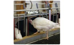 Vencomatic - Model Turkey Nest - Automatic Hatching Egg Collection Packers