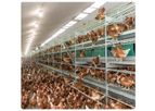Vencomatic - Model Bolegg Terrace - Compact and Open Aviary System