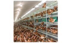 Vencomatic - Model Bolegg Terrace - Compact and Open Aviary System
