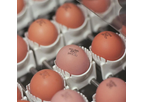Vencomatic - Egg Coding Systems