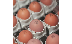 Vencomatic - Egg Coding Systems