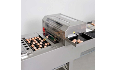 Vencomatic - Model Ovograder - Eggs Grading System