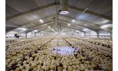 Technologies for Poultry