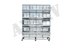 Aycage - Model A-500902 - 60X60 Enrichable 4 Layer Cage