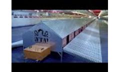 Aytav Poultry Automation Nest Video