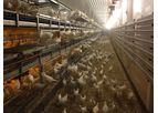 Hellmann - Model PRO Pullet - Rearing Aviary