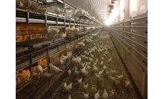 Hellmann - Model PRO Pullet - Rearing Aviary