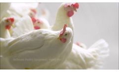 Aviary Pro 11 - Video