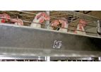 Ecoplus - Layer Cage System