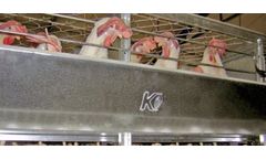 Ecoplus - Layer Cage System