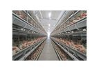 Kutlusan - Enriched Cage System