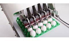 Kutlusan - Model Jet BAN5 - Egg Printing System