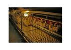 Kutlusan - Residence Parent Stock Cage System
