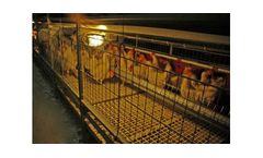 Kutlusan - Residence Parent Stock Cage System