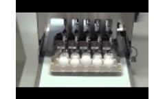 Egg Jet BAN5 Video