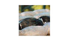 Diopas - Trimmer Line-Monofilament Nets