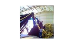 Diopas - Purse Seine