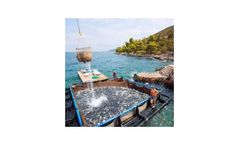 Diopas - Landing Net