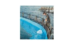 Diopas - Health Treatment Bag