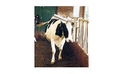 E-Z - Cattle Brush & Oiler
