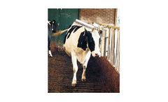E-Z - Cattle Brush