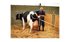 E-Z - Vink Calf Puller