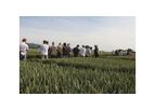 Crop Production Service