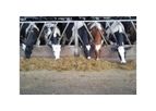 Farm Animal Vaccines & Dairy Hygiene Services