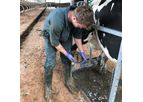 3-Days Herdsman Foot Trimming Course
