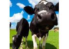 1-Day Cattle Fertility Course