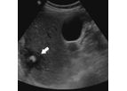 Non-Repro LA Ultrasonography Course