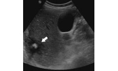 Non-Repro LA Ultrasonography Course