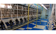 Milking Parlour Hygiene
