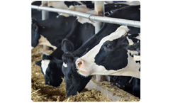 Home n’ Dry - Model AlkabupHa - Complementary Feed Material