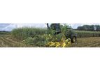 Biotal Maizecool Gold - Maize Silage