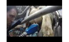 Northern Dairy Equipment Air Sanicleanse Teat Scrubber Product Video