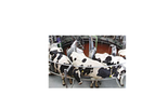 AutoRotor - Model Magnum 40/40-F - Rotary Milking Systems
