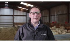 Nettex Lamb Kick Start Video