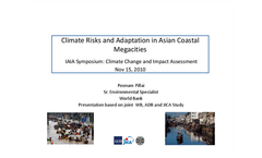 Climate Risks and Adaptation in Asian Coastal Mega-Cities