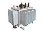CEEG - Amorphous Metal Material Type Oil Immersed Transformer