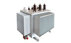 CEEG - Amorphous Metal Material Type Oil Immersed Transformer