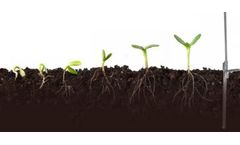 Soil Testing Services