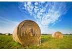 Feed & Forage Testing Analysis