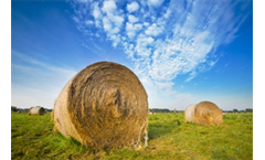 Feed & Forage Testing Analysis