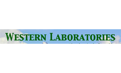 Programs Grid Testing Service