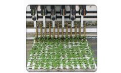 Plant-Raisers - Grading System